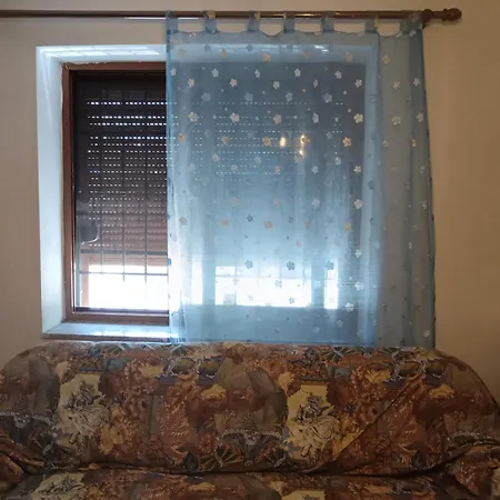 Pami * Shkodër